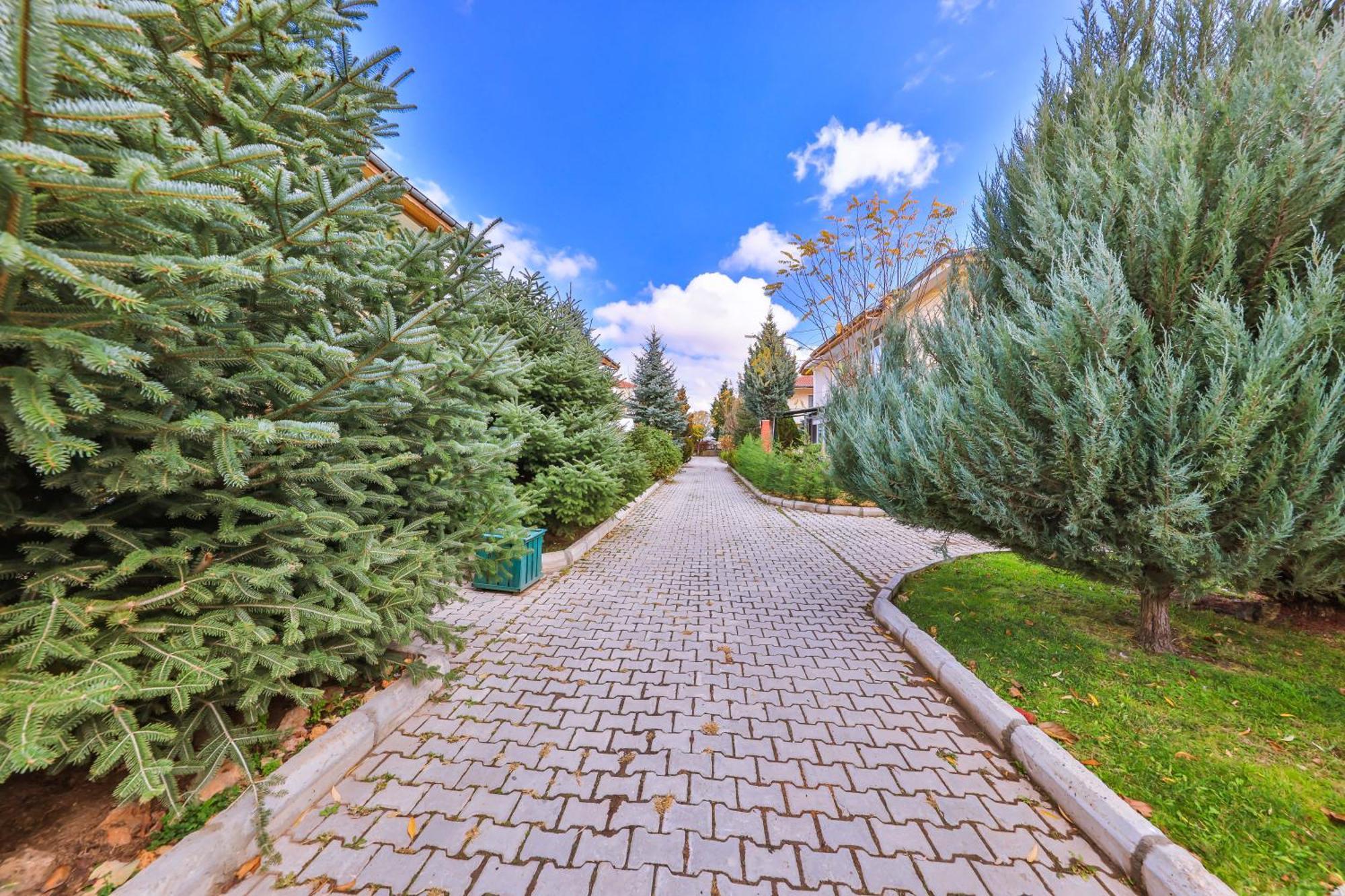Afyon Dundar Thermal Villa Afyonkarahisar Extérieur photo